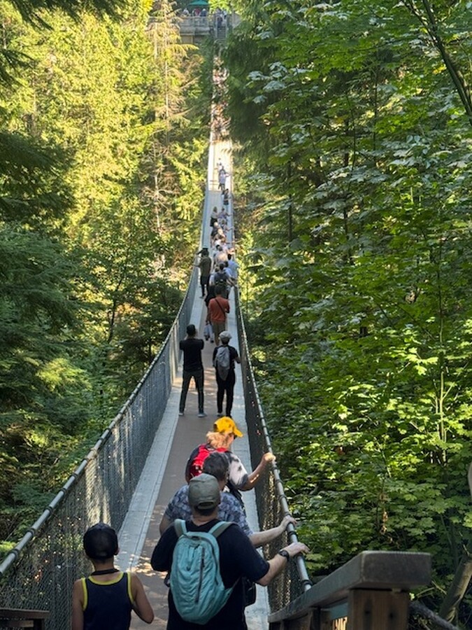 Capilano Suspension Bridge 3